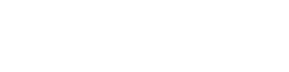 GoPro