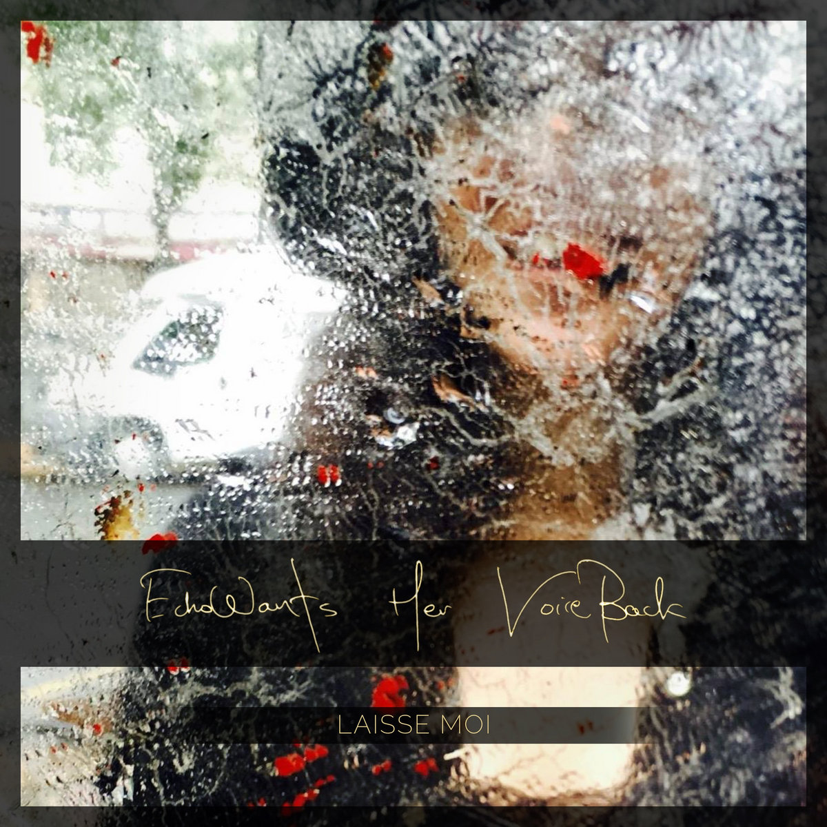 Echo Wants Her Voice Back - Laissé Moi